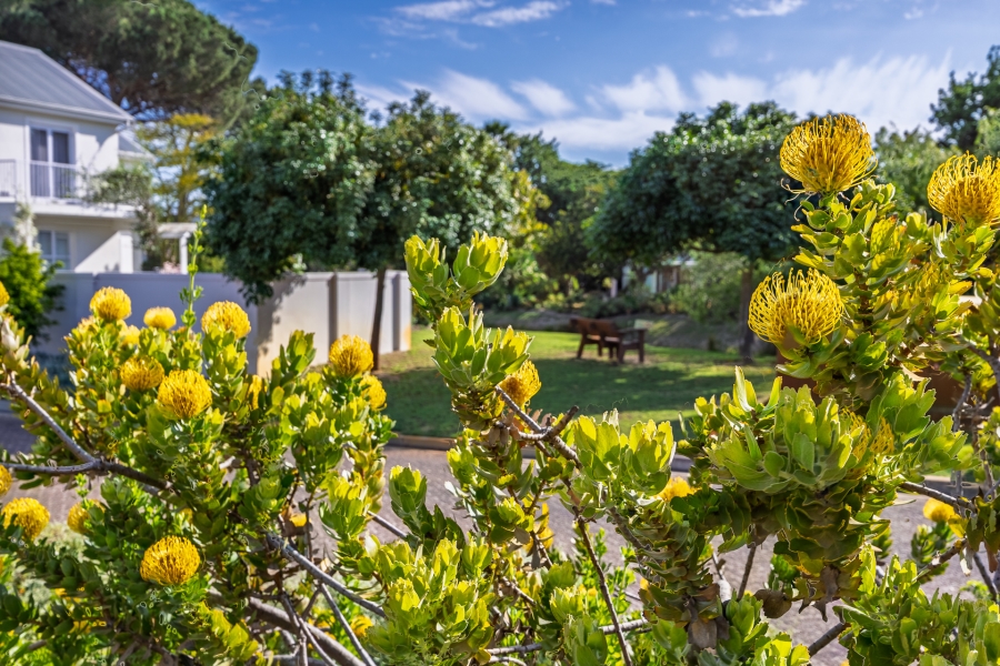 3 Bedroom Property for Sale in Zevenzicht Western Cape